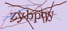 Проверочный код